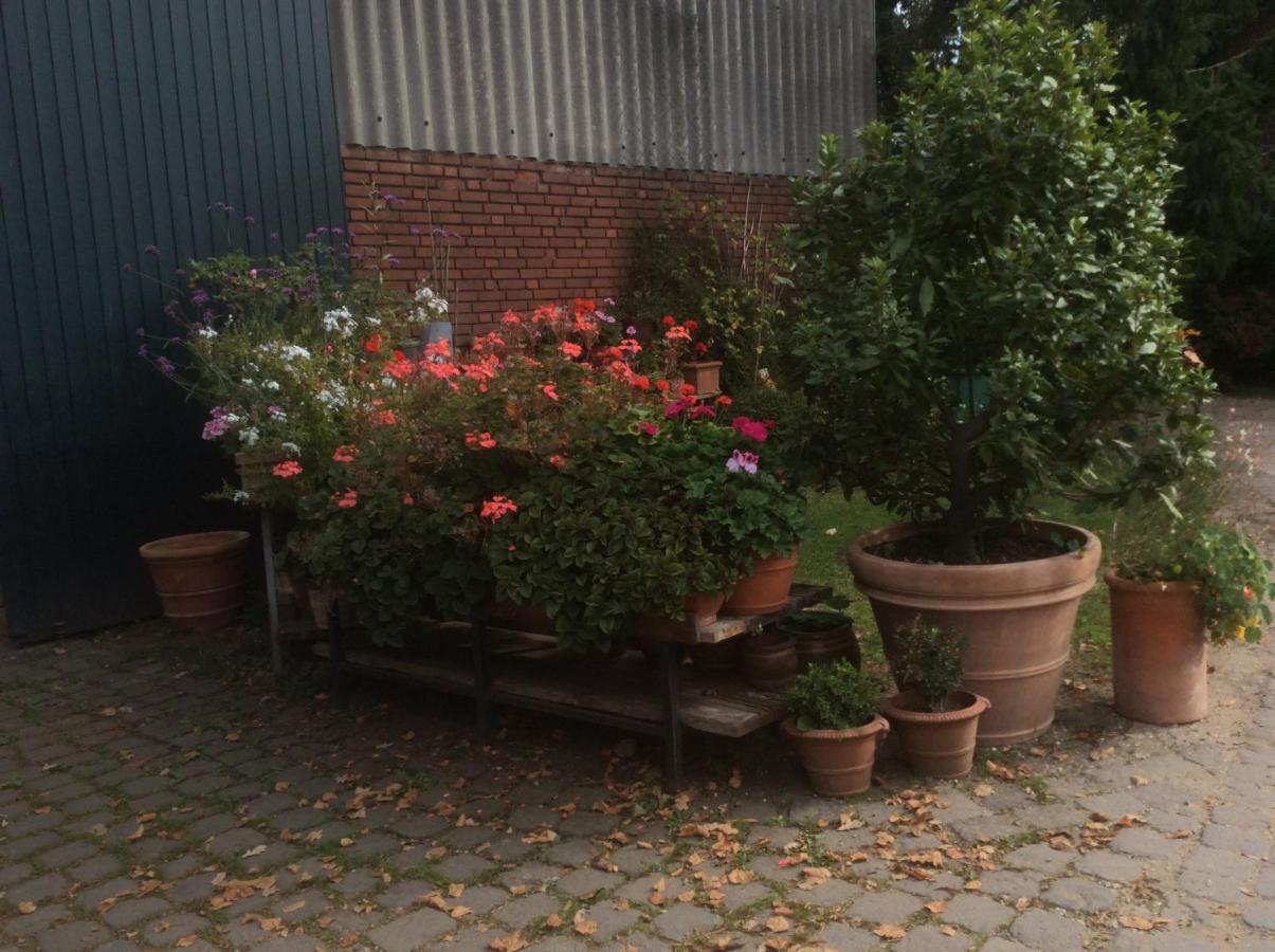 Ferienwohnung Haumannshof Xanten Bagian luar foto